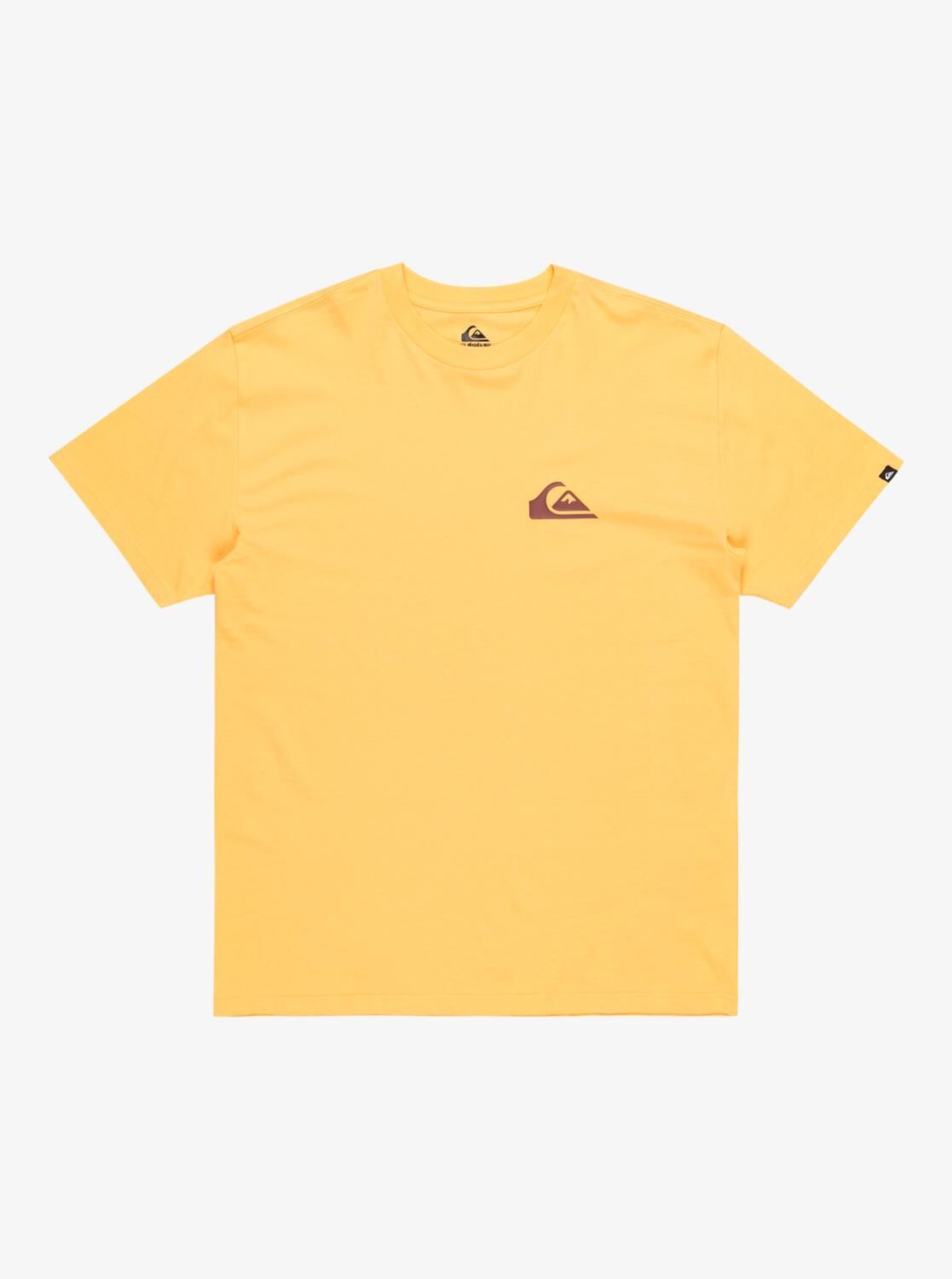 Quiksilver Ev Mini Logo SS Erkek T-Shirt-EQYZT08042