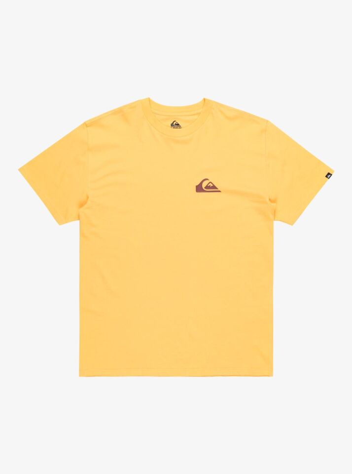 Quiksilver Ev Mini Logo SS Erkek T-Shirt-EQYZT08042