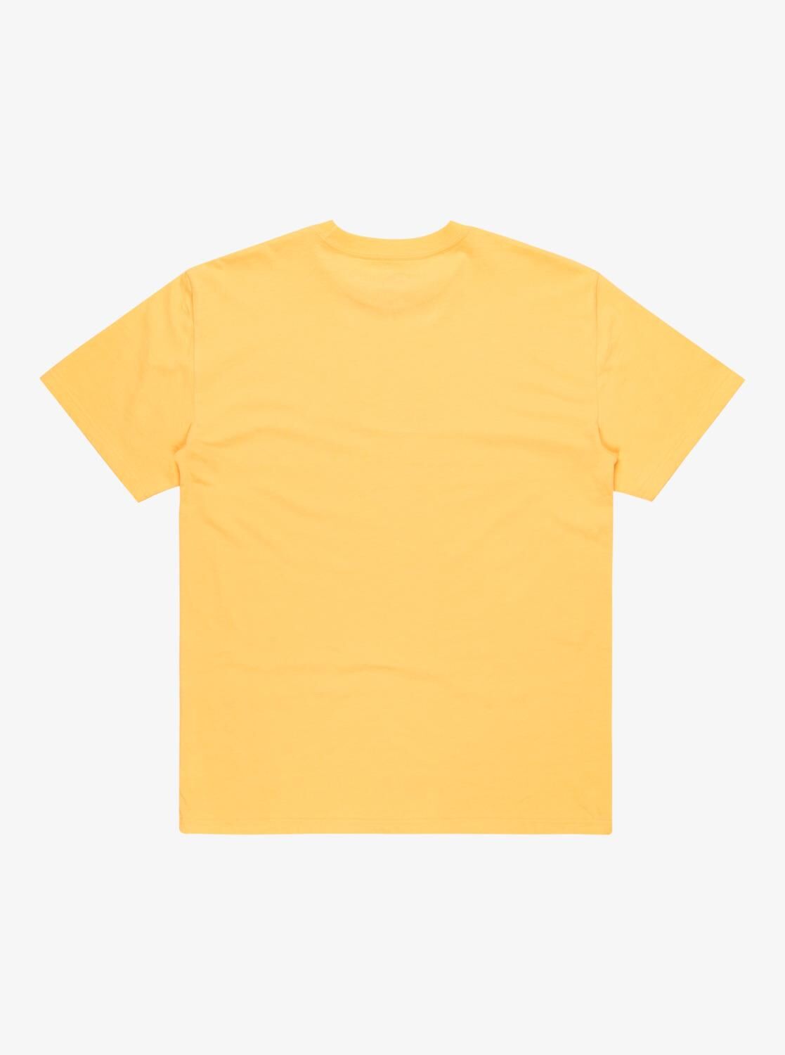 Quiksilver Ev Mini Logo SS Erkek T-Shirt-EQYZT08042