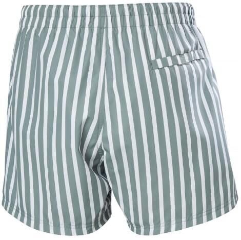 Helly Hansen Newport Erkek Deniz Şortu-HHA.34296