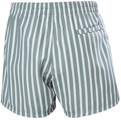 Helly Hansen Newport Erkek Deniz Şortu-HHA.34296