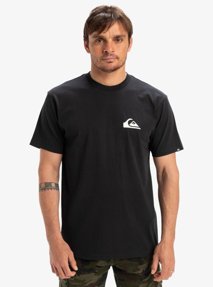 Quiksilver Ev Mini Logo SS Erkek T-Shirt-EQYZT08042