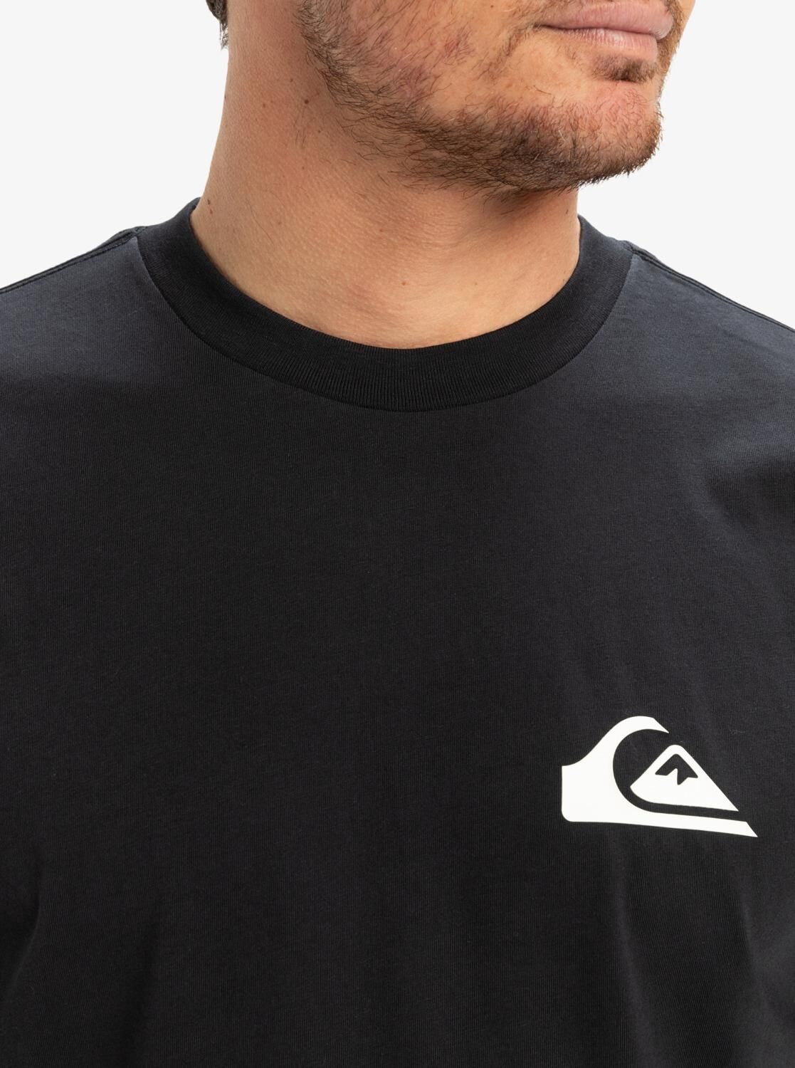 Quiksilver Ev Mini Logo SS Erkek T-Shirt-EQYZT08042