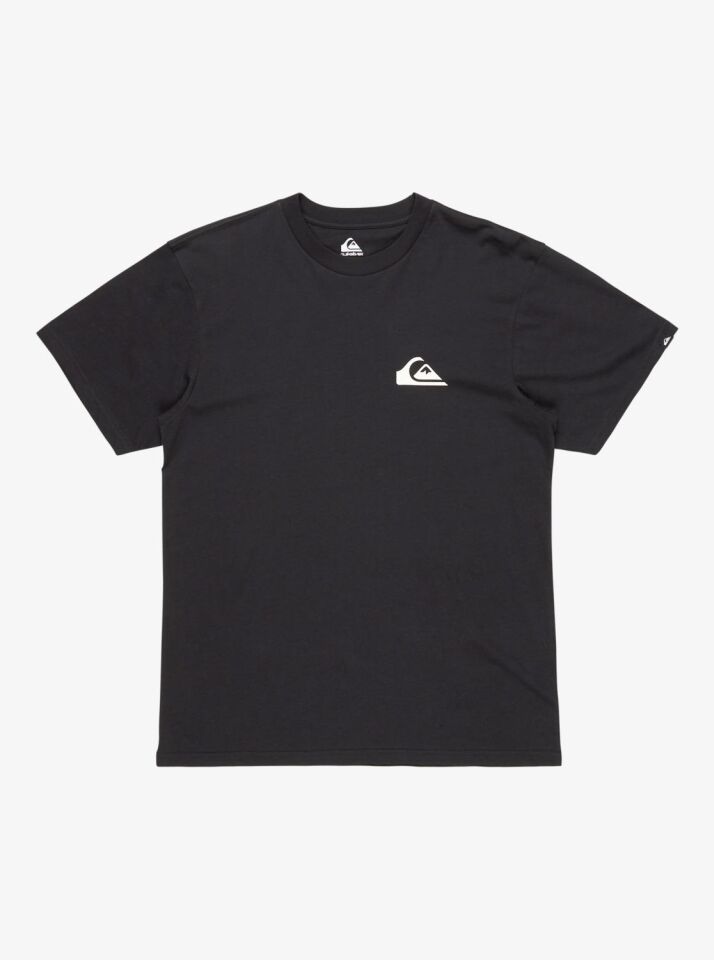 Quiksilver Ev Mini Logo SS Erkek T-Shirt-EQYZT08042