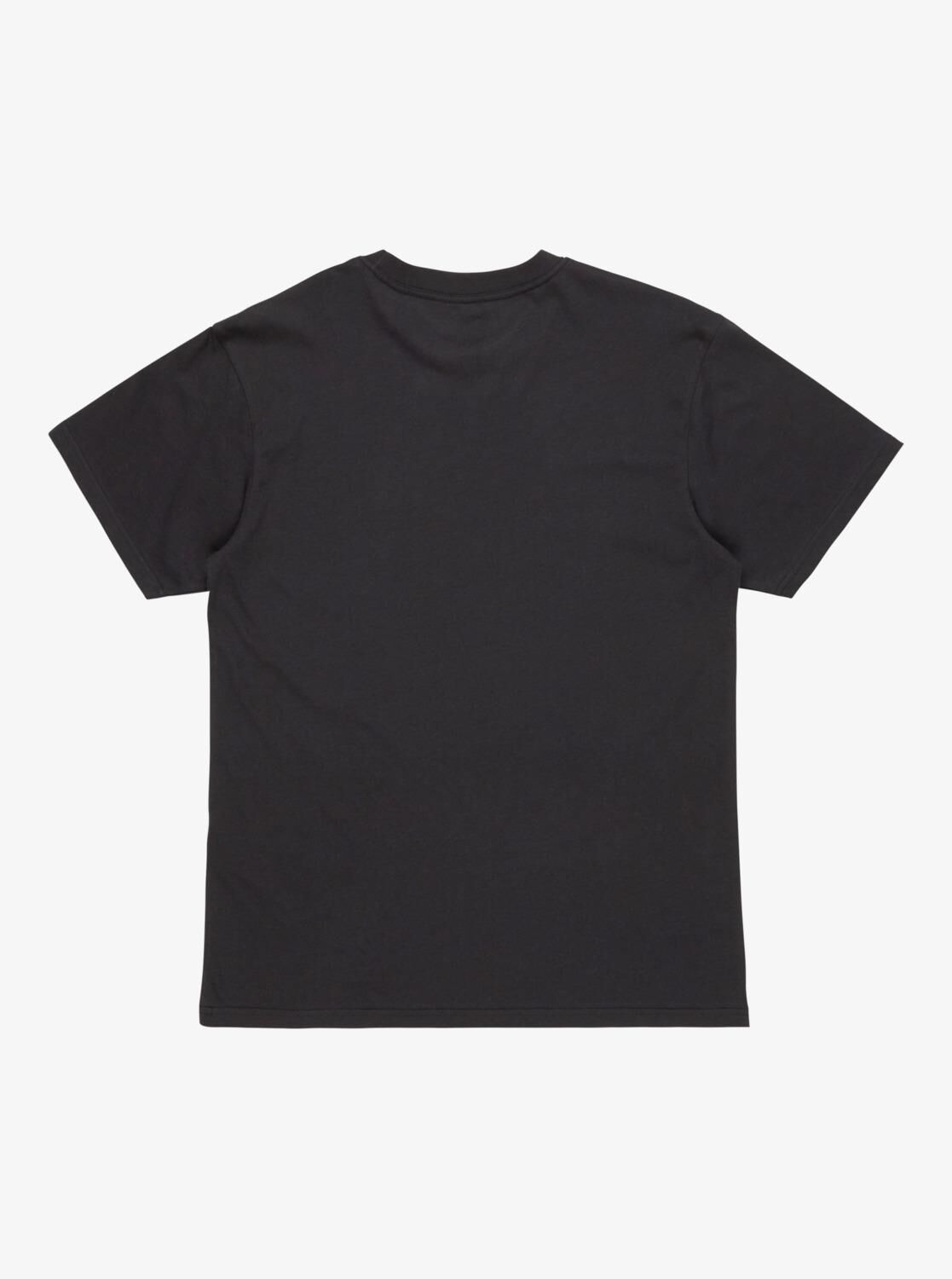 Quiksilver Ev Mini Logo SS Erkek T-Shirt-EQYZT08042