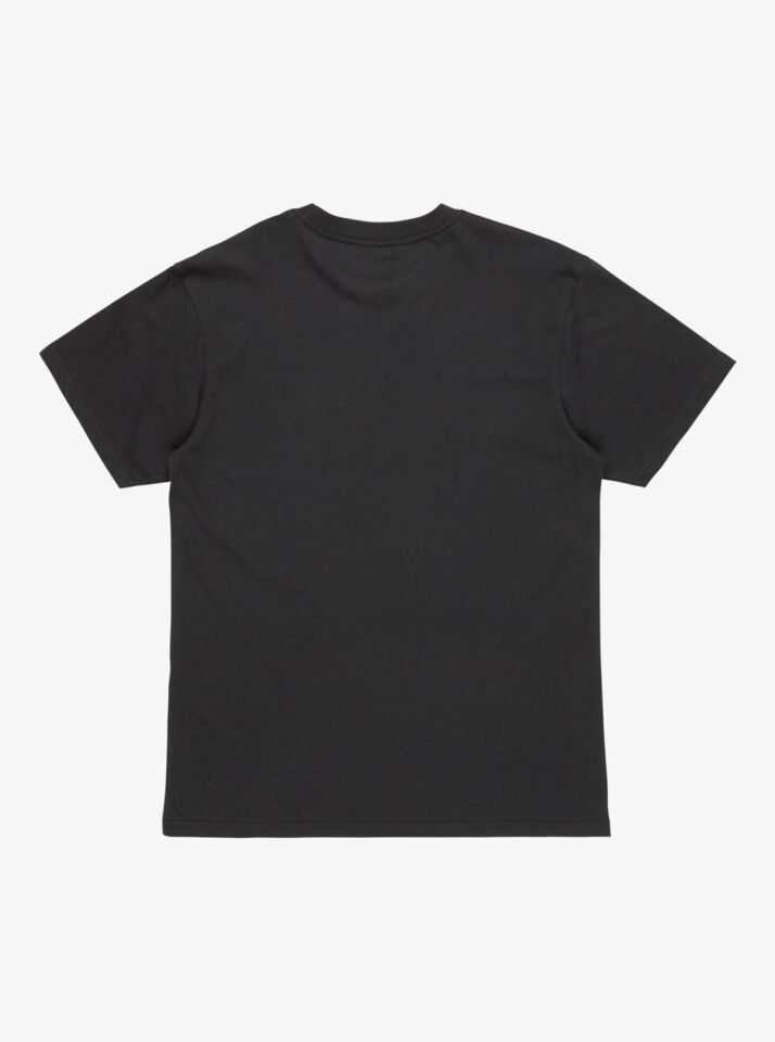 Quiksilver Ev Mini Logo SS Erkek T-Shirt-EQYZT08042