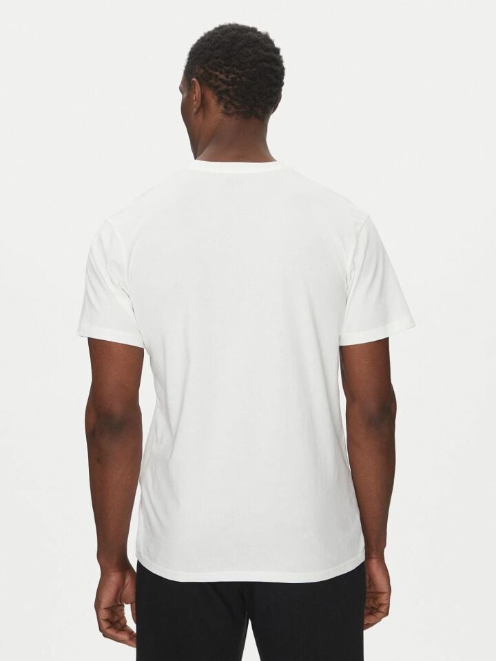 Quiksilver Ev Mini Logo SS Erkek T-Shirt-EQYZT08042