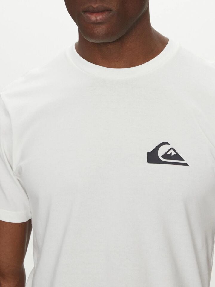 Quiksilver Ev Mini Logo SS Erkek T-Shirt-EQYZT08042