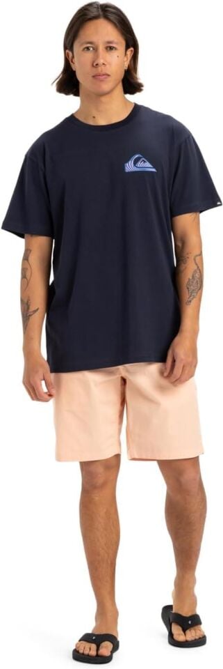 Quiksilver Window Pane SS Erkek T-Shirt-EQYZT08055