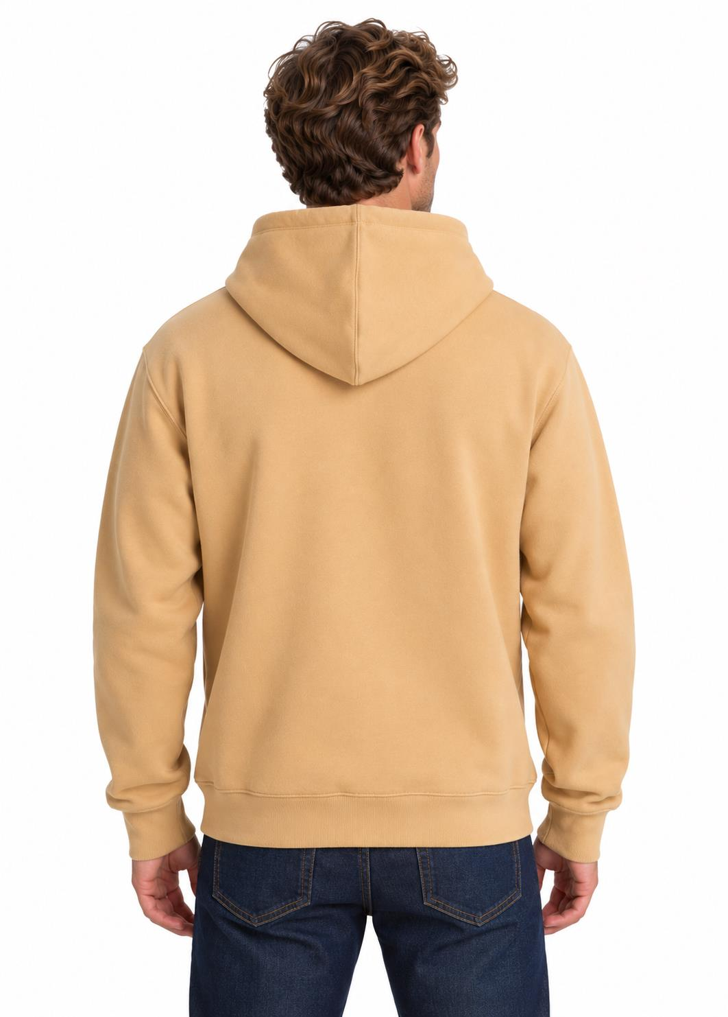 Quiksilver Salt Water Hoodie Erkek Sweatshirt-EQYFT05159