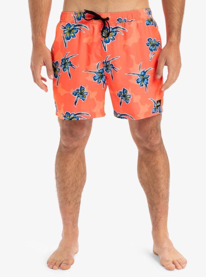 Quiksilver Everyday Straight Volley 15 Erkek Deniz Şortu-EQYJV041211