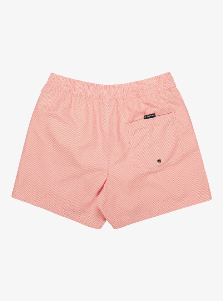 Quiksilver Everyday Deluxe Volley 15 Erkek Deniz Şortu-EQYJV04101