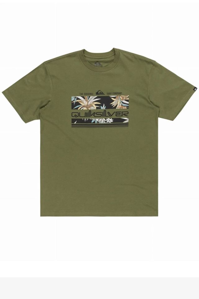 Quiksilver Tropical Rainbow SS Erkek T-Shirt-EQYZT07679