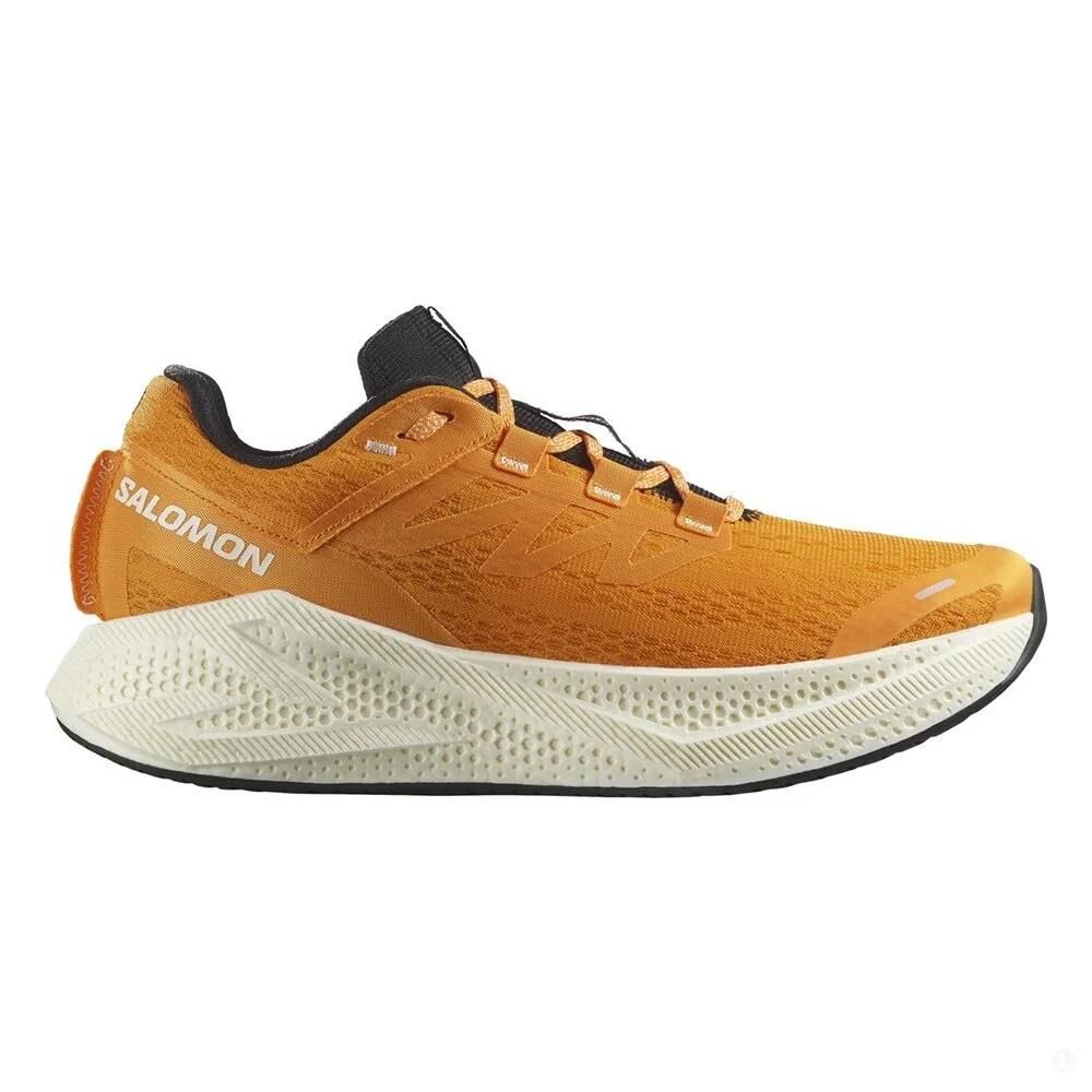 Salomon Aero Glide 3 Erkek Patika Koşu Ayakkabısı-L47756200