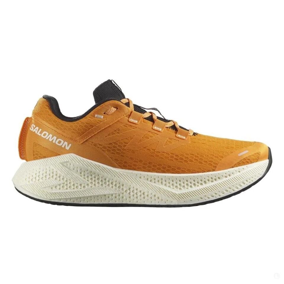 Salomon Aero Glide 3 Erkek Patika Koşu Ayakkabısı-L47756200