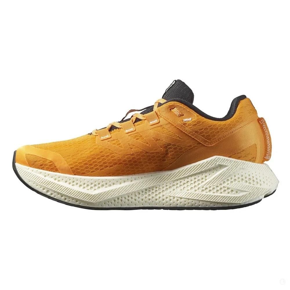 Salomon Aero Glide 3 Erkek Patika Koşu Ayakkabısı-L47756200