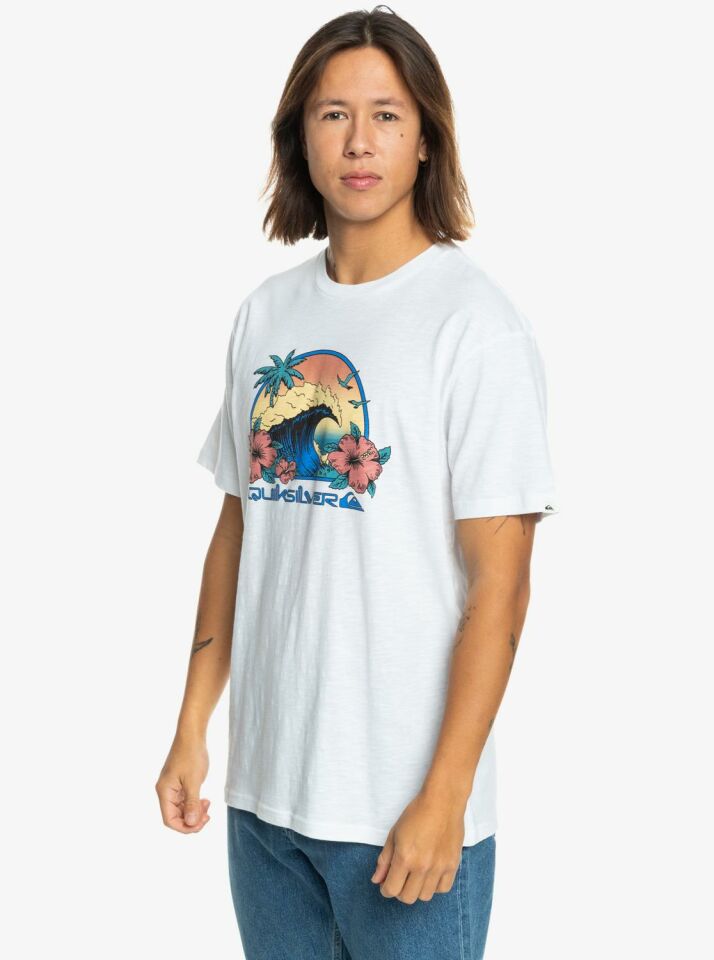 Quiksilver Riding Today SS Erkek T-Shirt-EQYZT07676