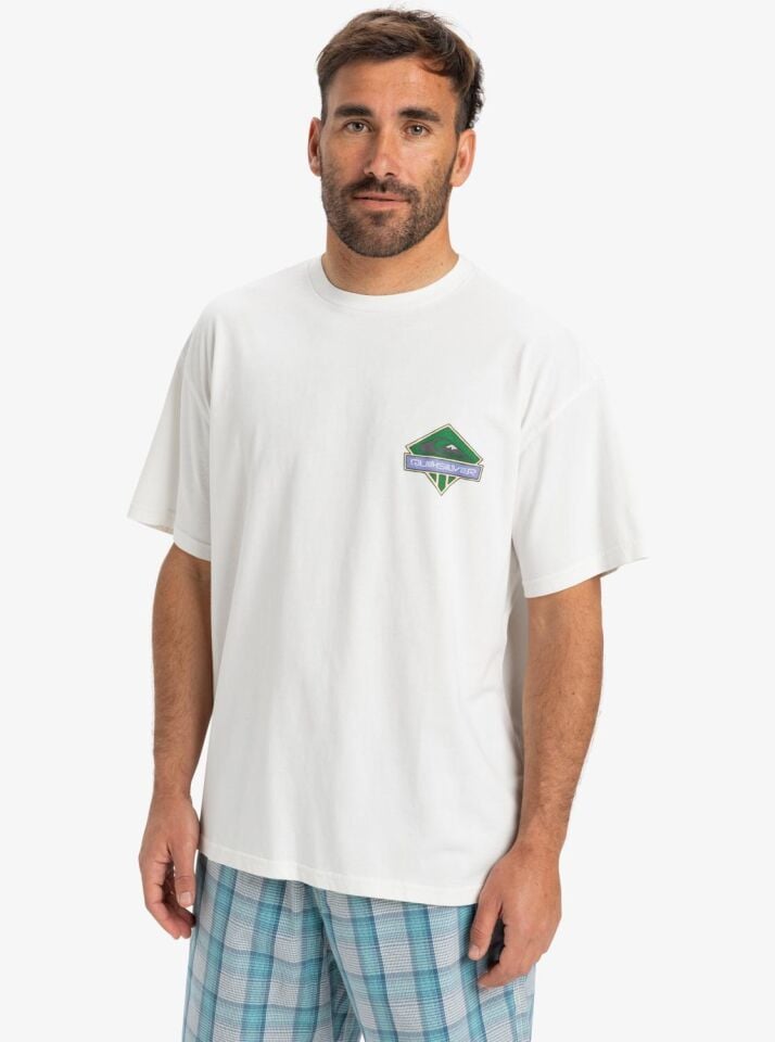 Quiksilver Locked Up SS Erkek T-Shirt-EQYZT08063