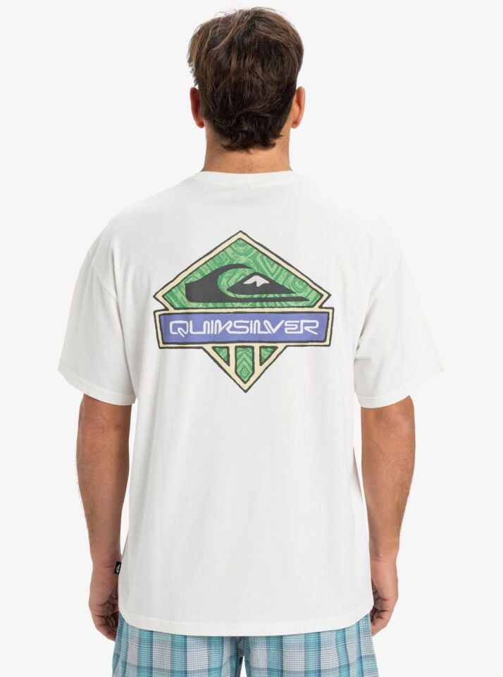 Quiksilver Locked Up SS Erkek T-Shirt-EQYZT08063