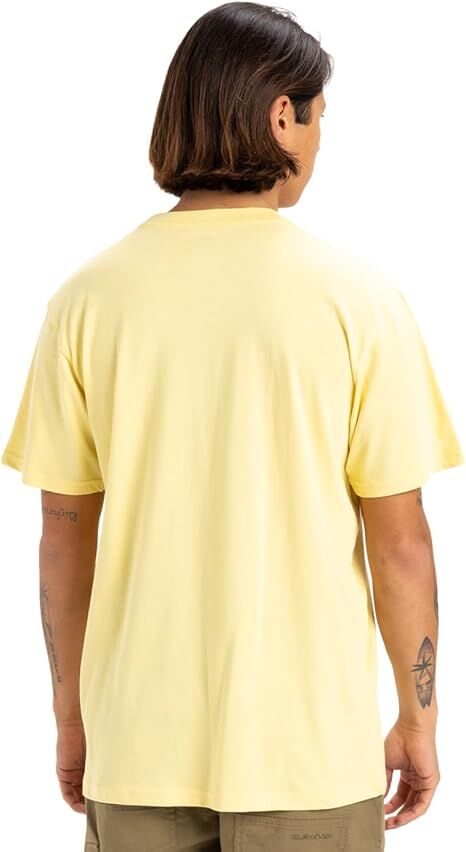 Quiksilver Locked Up SS Erkek T-Shirt-EQYZT08063