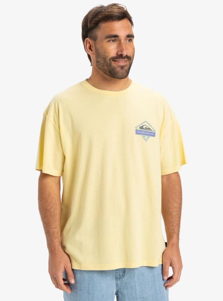 Quiksilver Locked Up SS Erkek T-Shirt-EQYZT08063