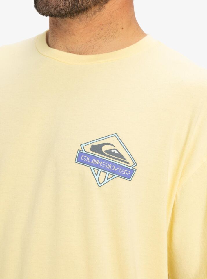Quiksilver Locked Up SS Erkek T-Shirt-EQYZT08063