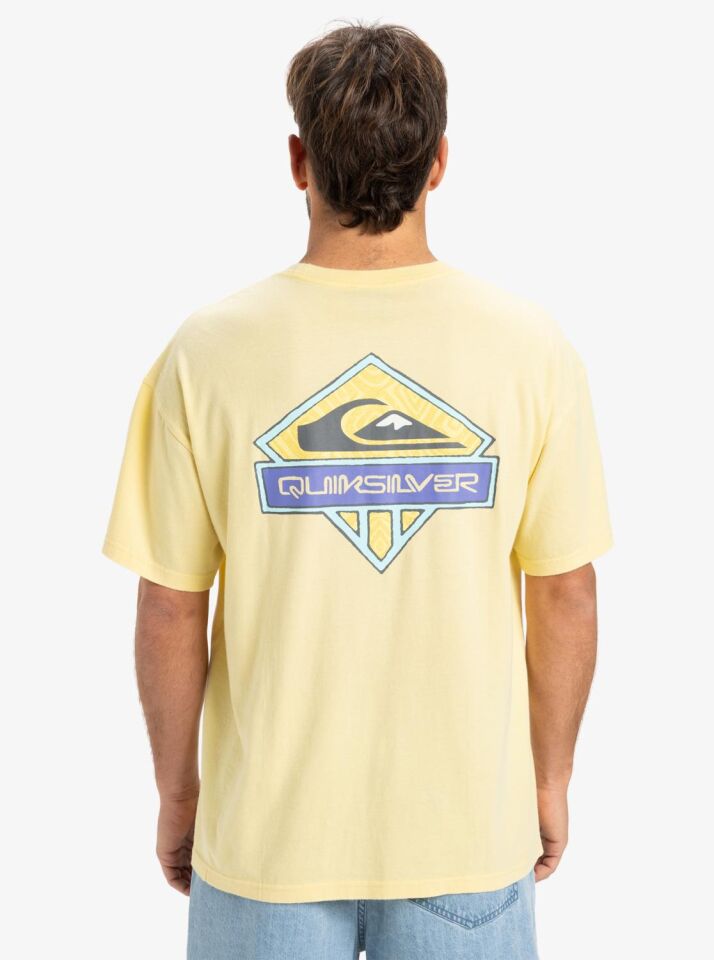 Quiksilver Locked Up SS Erkek T-Shirt-EQYZT08063
