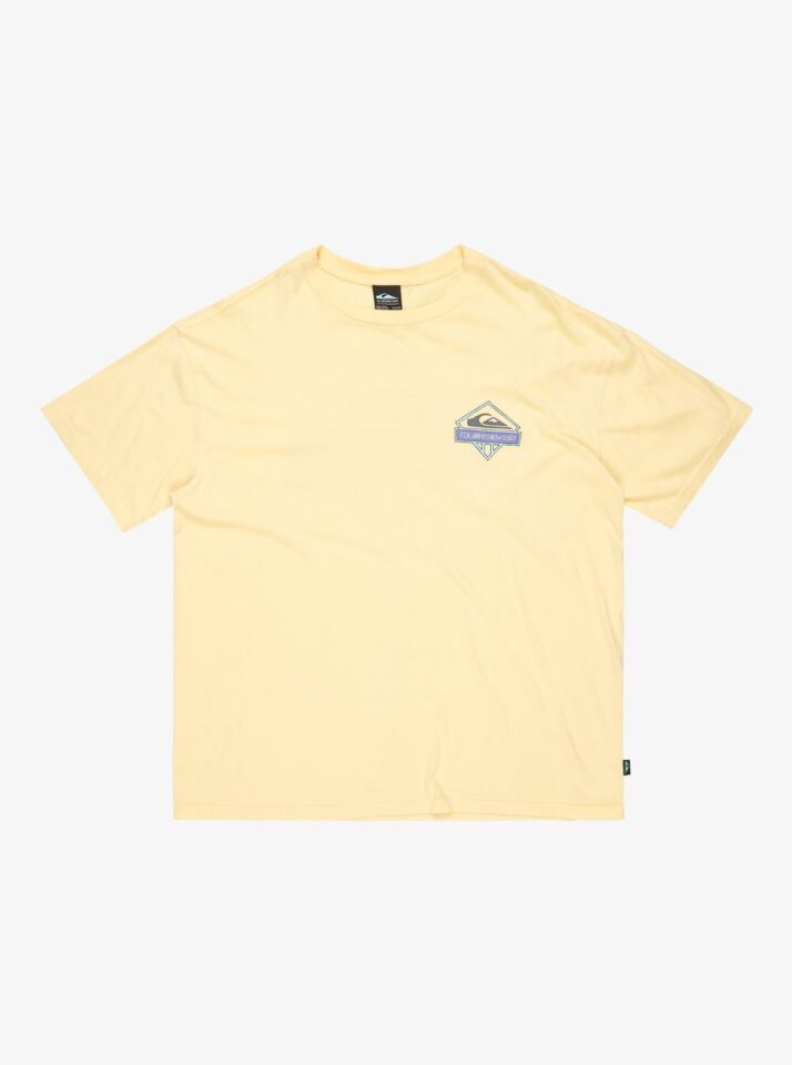 Quiksilver Locked Up SS Erkek T-Shirt-EQYZT08063