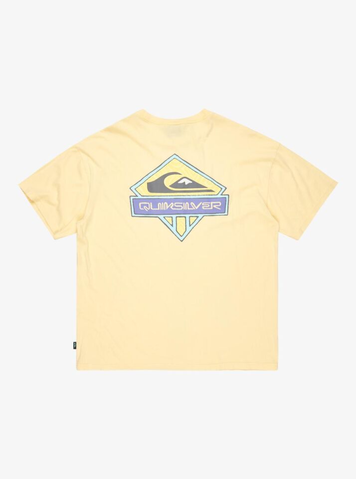Quiksilver Locked Up SS Erkek T-Shirt-EQYZT08063