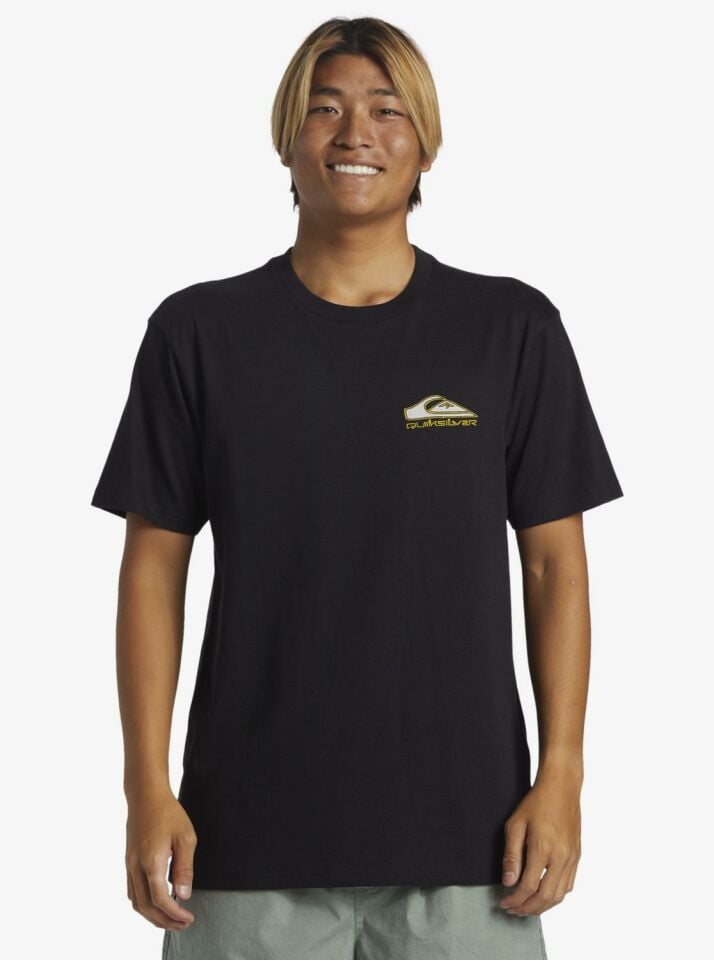Quiksilver Step Up Mor Erkek T-Shirt-AQYZT09563