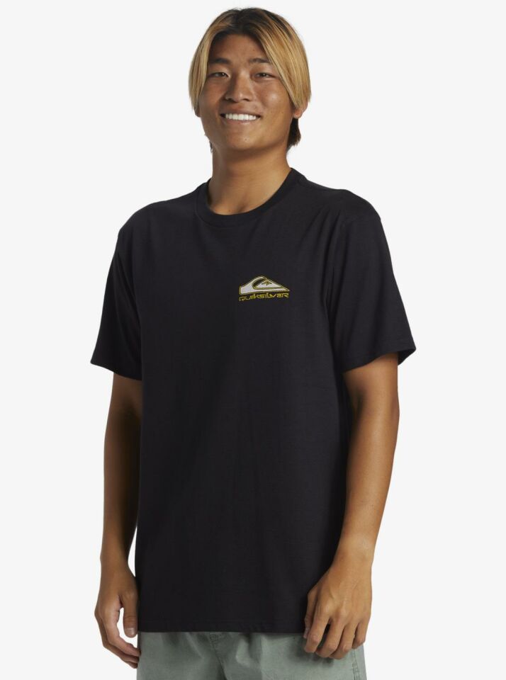 Quiksilver Step Up Mor Erkek T-Shirt-AQYZT09563
