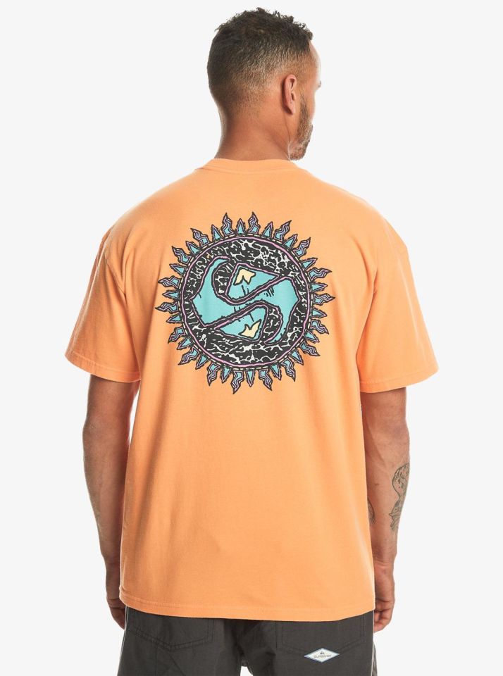 Quiksilver Spin Cycle SS Erkek T-Shirt-EQYZT07653