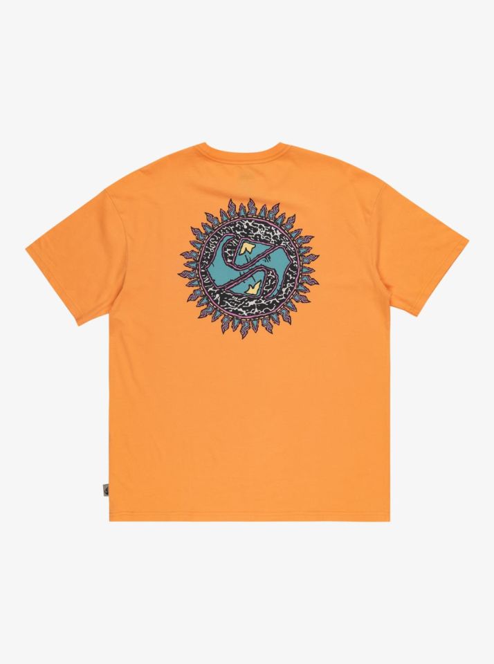 Quiksilver Spin Cycle SS Erkek T-Shirt-EQYZT07653