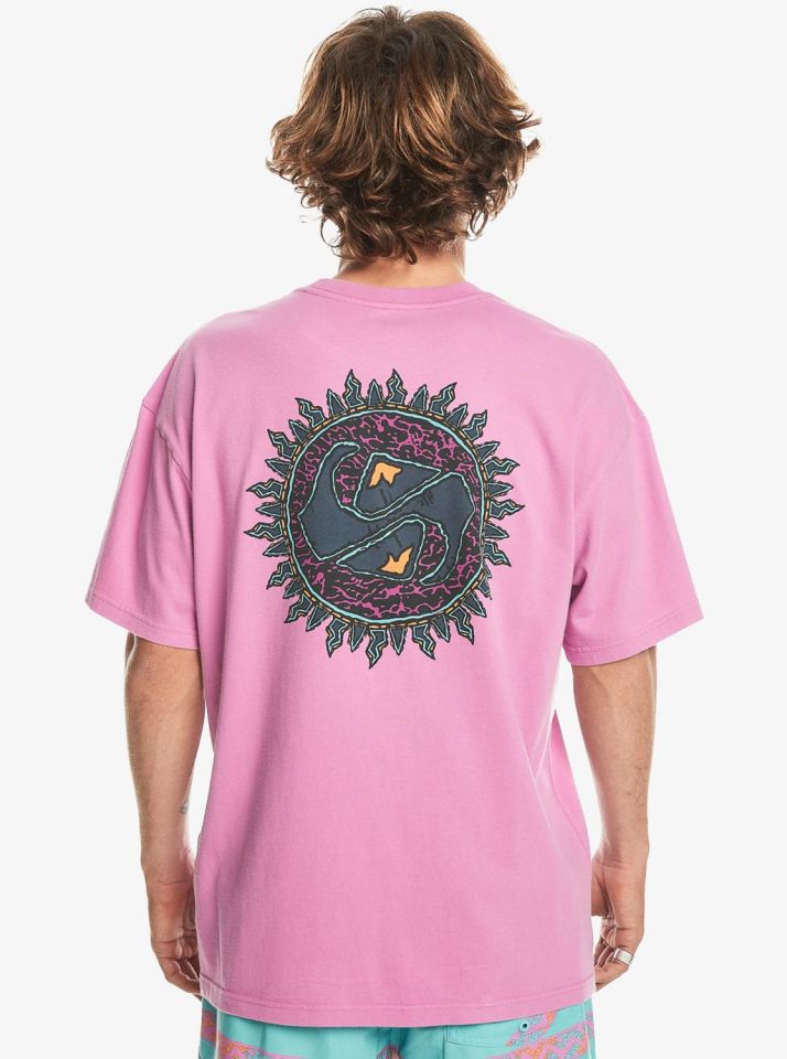 Quiksilver Spin Cycle SS Erkek T-Shirt-EQYZT07653