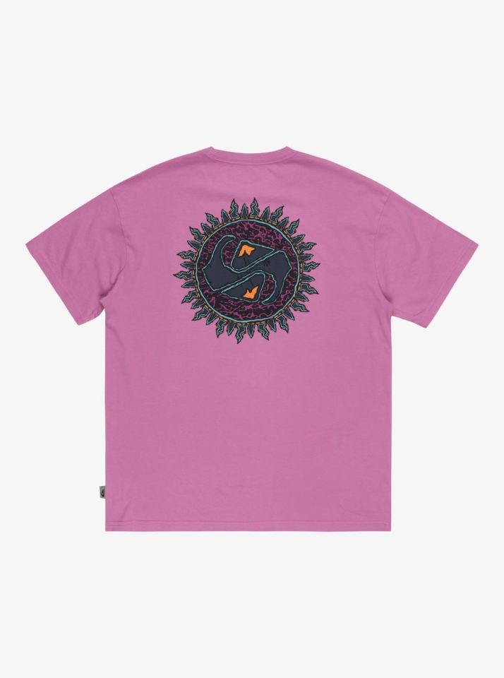 Quiksilver Spin Cycle SS Erkek T-Shirt-EQYZT07653