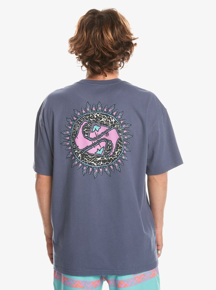 Quiksilver Spin Cycle SS Erkek T-Shirt-EQYZT07653