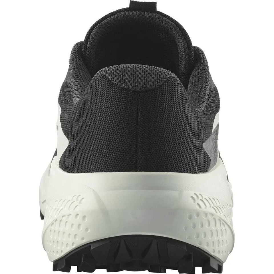 Salomon Alphaglide Erkek Patika Koşu Ayakkabısı-L47801000