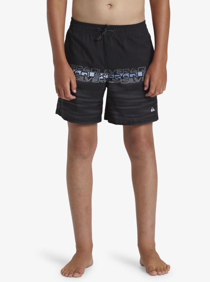 Quiksilver Everyday Wordbloack Volley 8-16 Yaş Çocuk Deniz Şortu-AQBJV03051