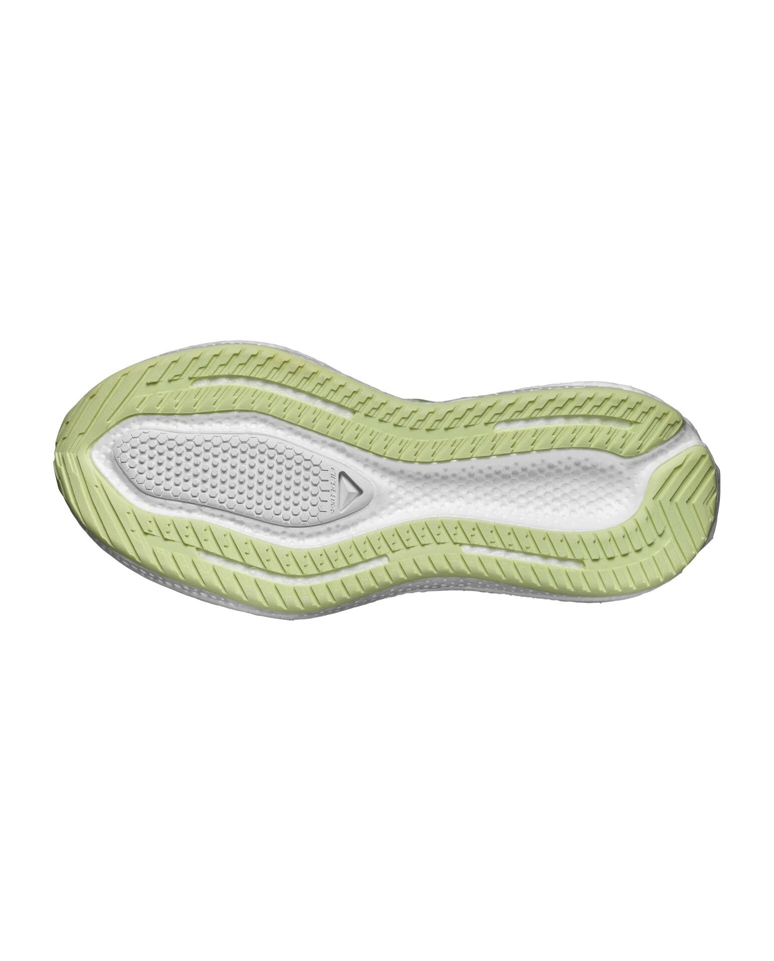 Salomon Aero Glide 4 Kadın Patika Koşu Ayakkabısı-L49151500