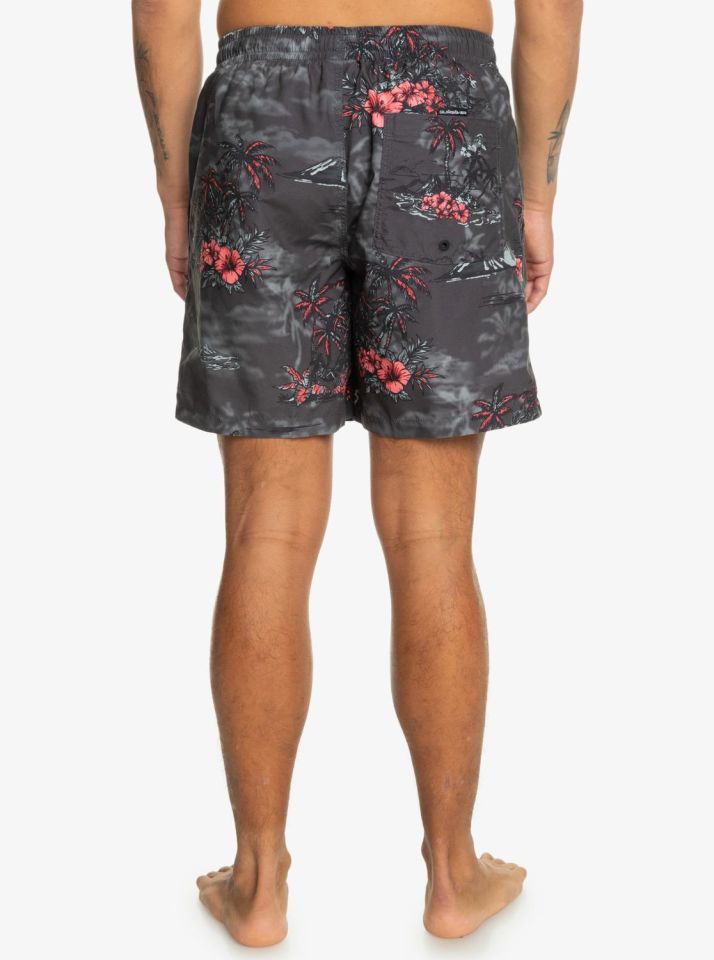 Quiksilver LongManhill Volley 17 Erkek Deniz Şortu-EQYJV04063