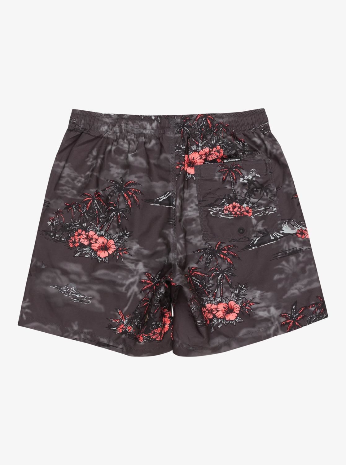 Quiksilver LongManhill Volley 17 Erkek Deniz Şortu-EQYJV04063