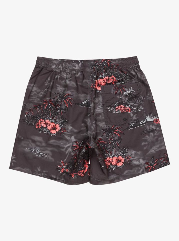 Quiksilver LongManhill Volley 17 Erkek Deniz Şortu-EQYJV04063
