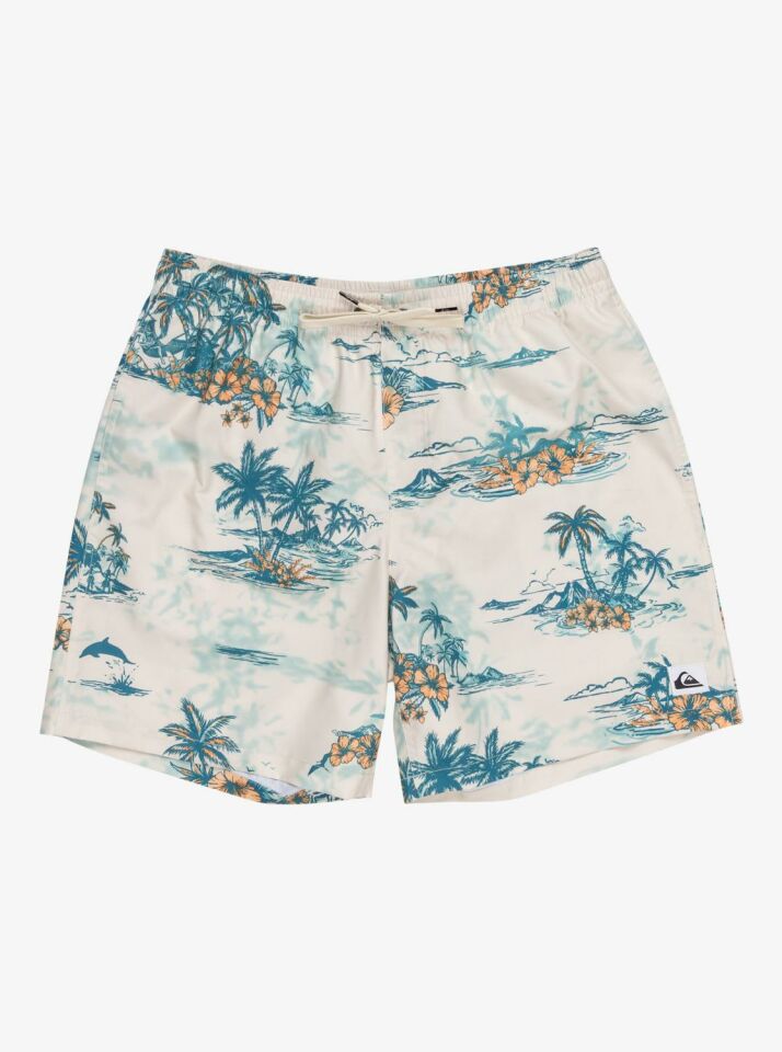 Quiksilver LongManhill Volley 17 Erkek Deniz Şortu-EQYJV04063