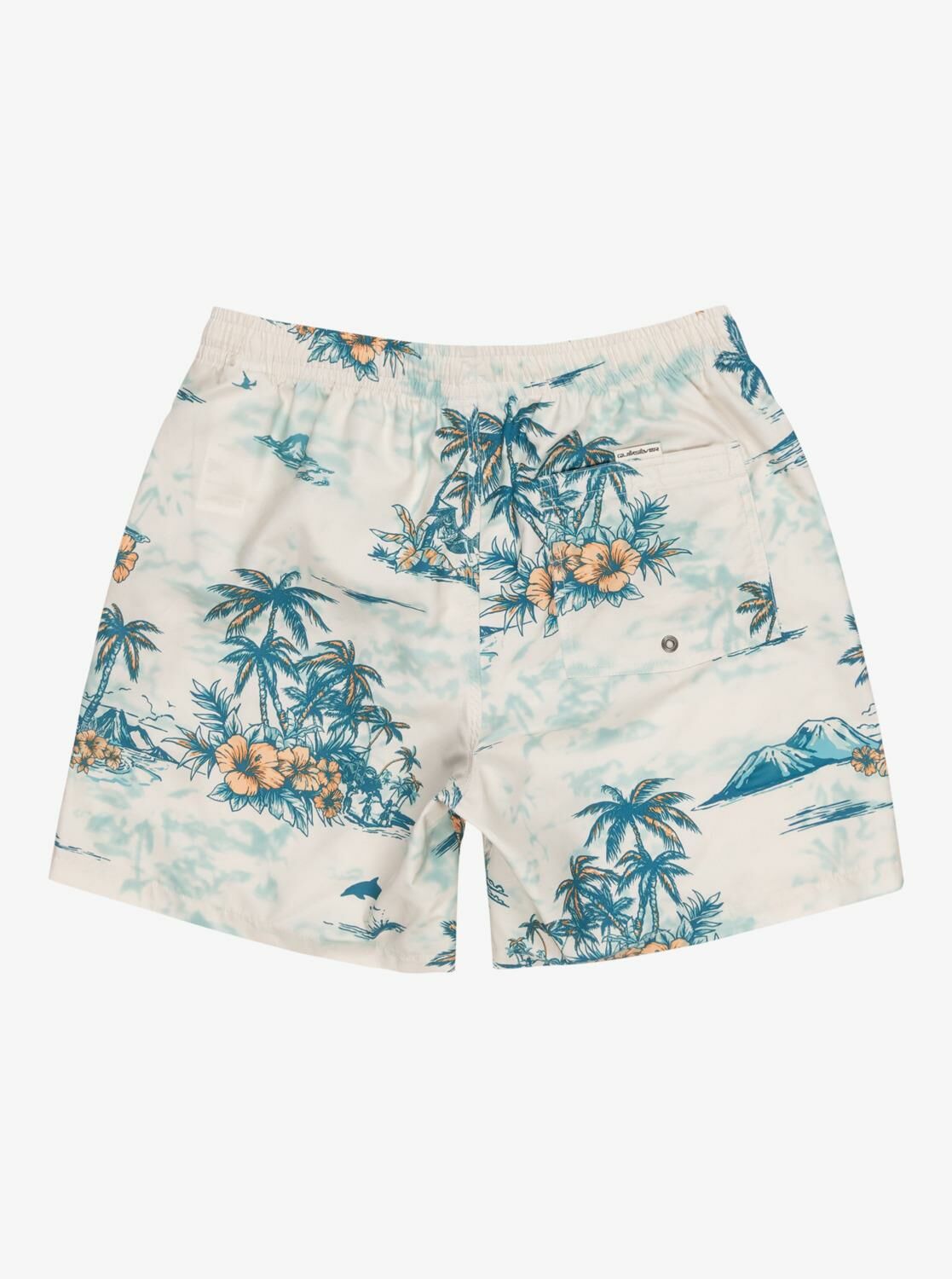 Quiksilver LongManhill Volley 17 Erkek Deniz Şortu-EQYJV04063