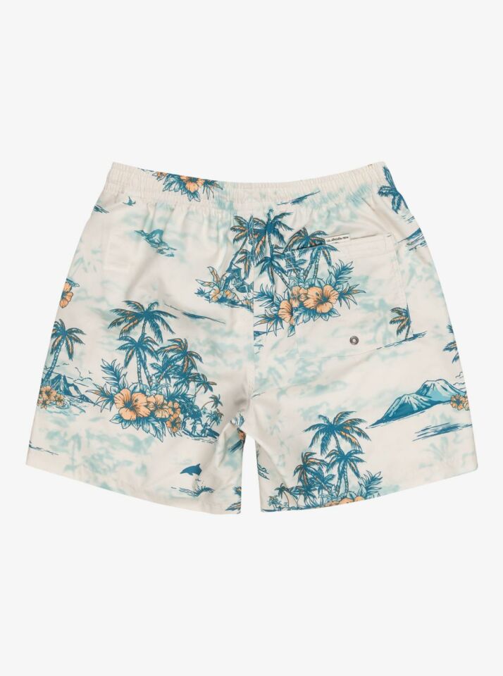 Quiksilver LongManhill Volley 17 Erkek Deniz Şortu-EQYJV04063