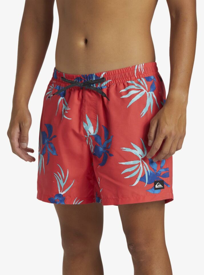 Quiksilver Everyday Mix Volley 15 Erkek Deniz Şortu-AQYJV03147