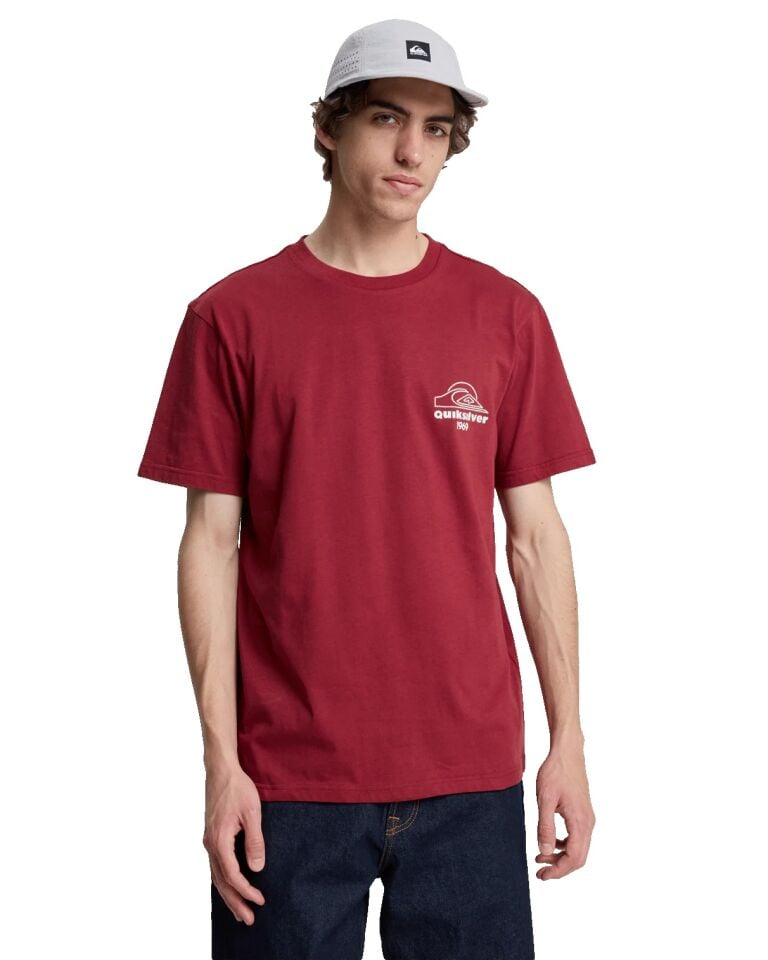 Quiksilver Bliss Point Erkek T-Shirt-EQYZT08259