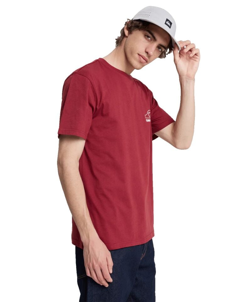 Quiksilver Bliss Point Erkek T-Shirt-EQYZT08259