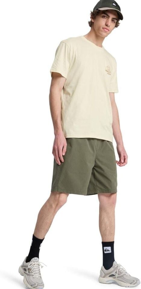 Quiksilver Bliss Point Erkek T-Shirt-EQYZT08259