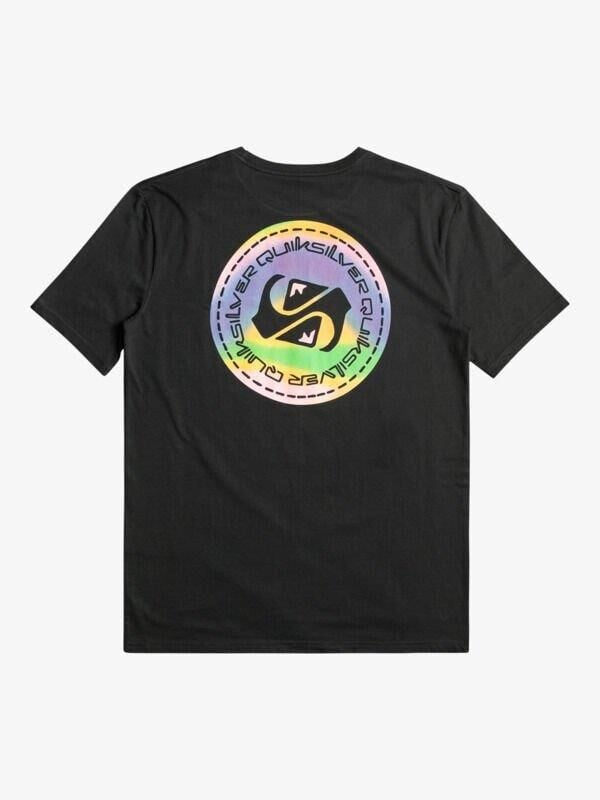 Quiksilver Colourflow Erkek T-Shirt-EQYZT07229